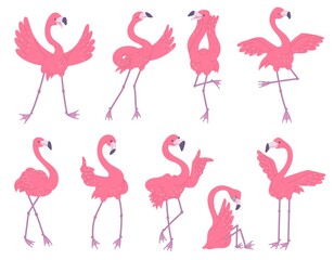 Cute pink flamingos with different emotions set. African birds cartoon flat illustration isolated on white background.