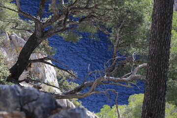 calanques de Cassis