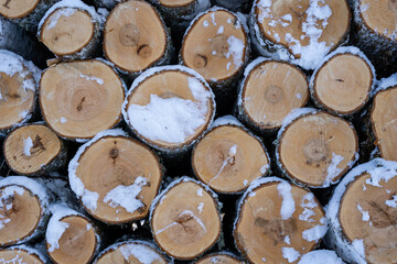 the ends of the cut trees in winter, which are piled up in a large pile and represent the diameter of the circles, which together form an interesting pattern