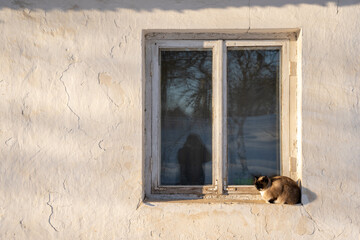 white house wall facade with a window on which sits a cat that warms up in the warm sunlight in the...