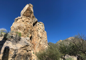 Beautiful Desert Landscape