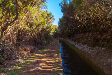 Naklejka premium levada do alecrim