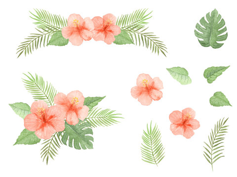 2 590 Best モンステラ Images Stock Photos Vectors Adobe Stock 2 590 Best モンステラ Images Stock Photos Vectors Adobe Stock
