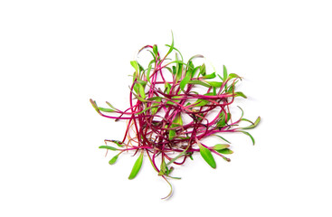 Microgreen beets on a white background isolate. Selective focus.