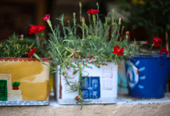 Beautiful plants growing in cute handmade decorated, painted pots on the streets of Rhodes Island, Greece. Exterior decor for outside spaces. Decorative creative ideas for garden. Selective focus.