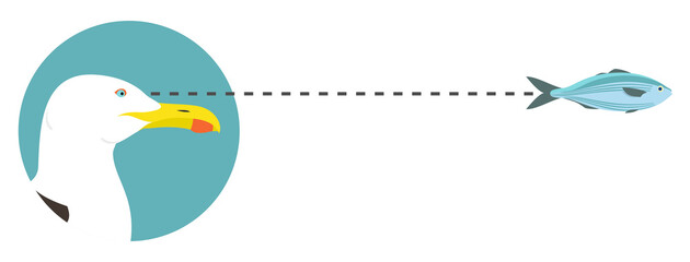 A seagull's head in profile in a blue circle follows the prey. Vector gray-white-black ocean bird isolated on white background looking for fish.