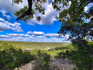 landscape with trees and clouds