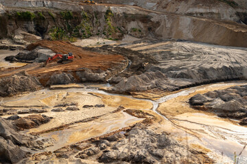 nature in a clay quarry