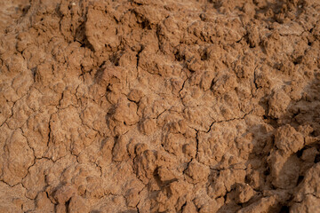 Dried clay.