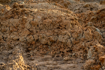 nature in a clay quarry
