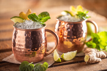 Moscow Mule highball cocktail and a long vodka drink with fresh lime, ginger beer, and mint