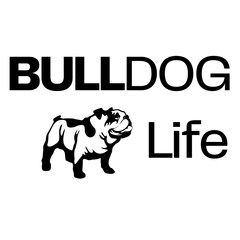 bulldog life - bulldog dog