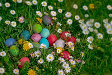 Easter decoration eggs in the garden outdoor