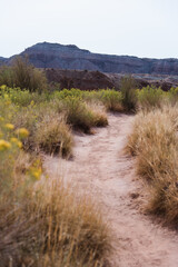 Hiking Trail in Arches National Park, Utah - 411641924
