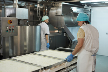Portrait of two female workers controlling cheese production at industrial food factory, copy space