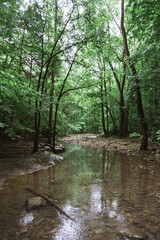 Fototapeta na wymiar Calm Water at Indian Creek Arkansas