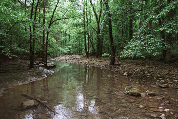 Calm Indian Creek Arkansas - obrazy, fototapety, plakaty