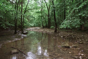 Calm Indian Creek Arkansas © Matt