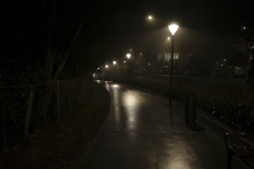 Fototapeta na wymiar Foggy night in an urban pàrk