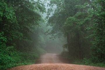 Foggy Dirt Road in Arkansas - 411642332