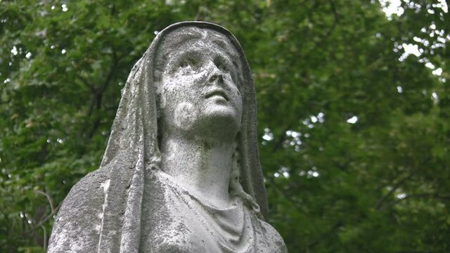Madonna.
Cemetery statue of a Madonna looking skyward. Defocused trees move in the background. 
