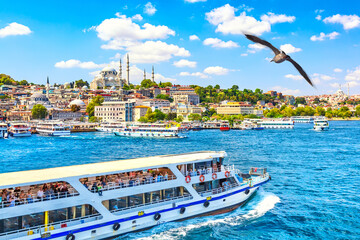 Obraz premium Touristic sightseeing ships in Golden Horn bay of Istanbul and view on Suleymaniye mosque with Sultanahmet district. Seagull on the foreground. Istanbul, Turkey during sunny summer day.