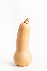 Butternut Squash On White Background