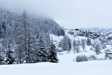 Villaggio alpino innevato