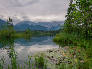 Kleiner See in den Alpen mit blühenden Seerosen