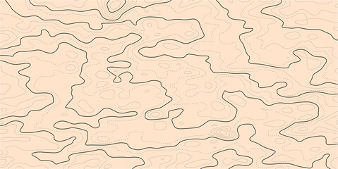 Topographic map background. Grid map. Contour map vector. Business concept. Abstract vector illustration.