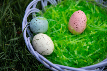 easter eggs in a nest
