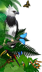 Vector jungle rainforest foliage vertical border illustration with Harpy Eagle, python, aracari toucanet and butterflies
