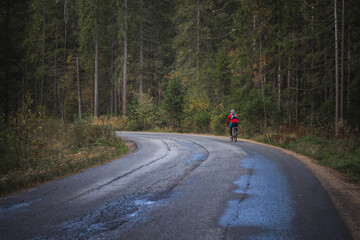 Cyclist traveling on a forest road
