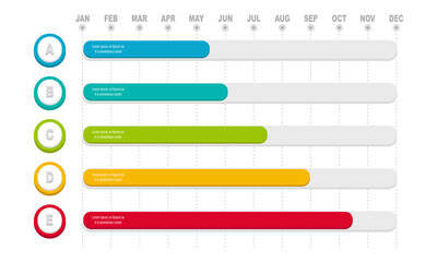 Project Timeline Infographics, 12 months timeframe and milestones