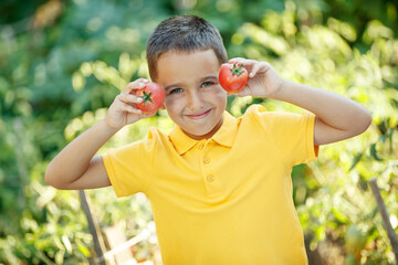 Time to harvest. Happy child in the vegetable garden with vegetables. High quality photo.
