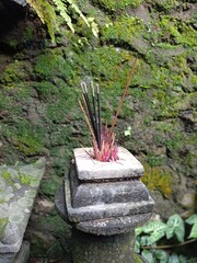 Unused Incense Sticks on an Incense Pot