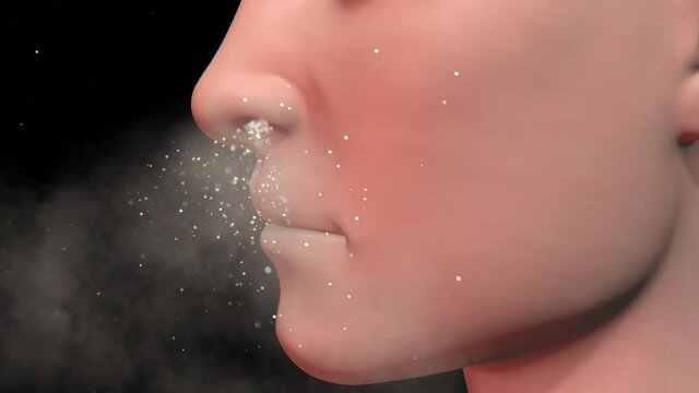 Human nose inhaling particles , bioaerosols. Scent molecules entering nasal passage of person. 3d animation render