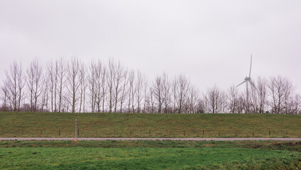 Green field graas and road, dutch landscape countryside in Heenvliet in South Holland, the Netherlands