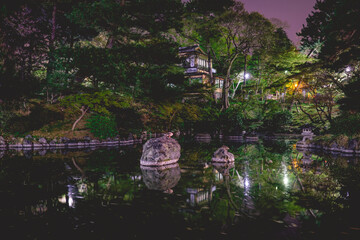 Fototapeta na wymiar Ducks on rocks in a pond, stone lamps and part of the Yasaka shrine in night, Kyoto, Japan
