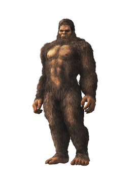 The mysterious bigfoot, a creature of folklore and legend, and the most popular cryptid of North America, stands in front of a white background. 3D Rendering