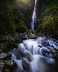 Obraz na płótnie Canvas Scenic View Of Waterfall In Forest