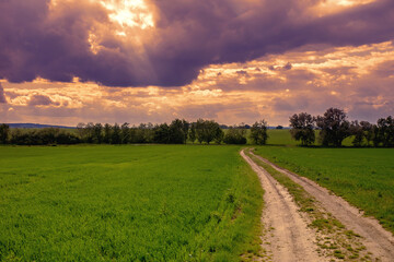 Obraz premium Countryside road and green field at sunset. 