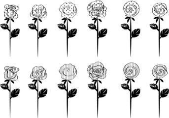 vector drawing white rose background design