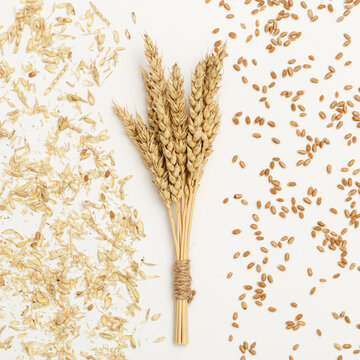 Bunch of ripe wheat ears close up and seeds, chaff on white background. Creative autumn harvest of grain crops