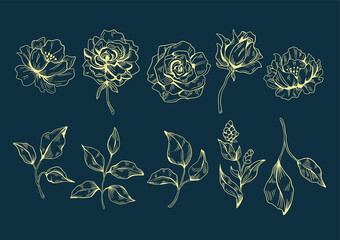Flowers illustration 01 yellowline