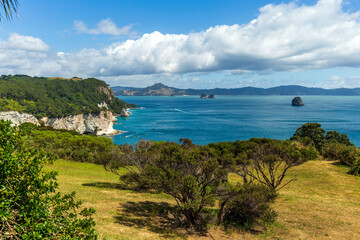 Coromandel Peninsula, North Island, New Zealand