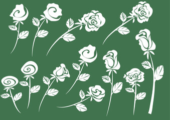 vector drawing white rose background design