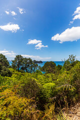 Fototapeta na wymiar Coromandel Peninsula, North Island, New Zealand