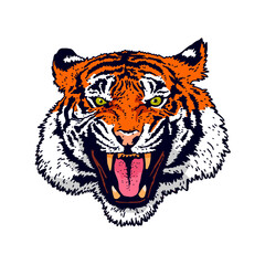 The grin of a tiger. Angry tiger face. Detailed drawing of a tiger. The symbol of the new 2022.