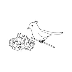 bird mom and chicks in the nest icon, sticker. sketch hand drawn doodle style. minimalism, monochrome. spring, brood.
